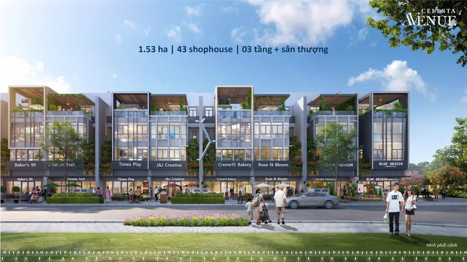 Mặt Bằng Tổng Thể Celesta Avenue