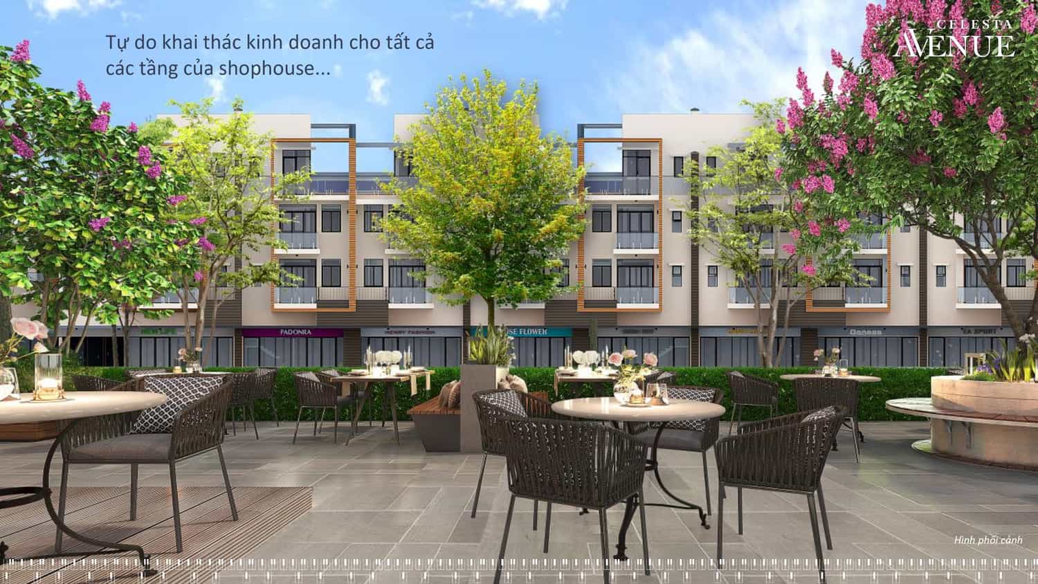 Shophouse Celesta Avenue